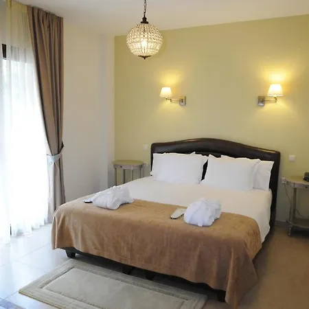 阿迦毗豪华酒店 4*